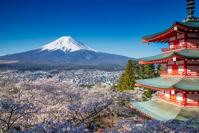 Lune de miel au Japon 🇯🇵